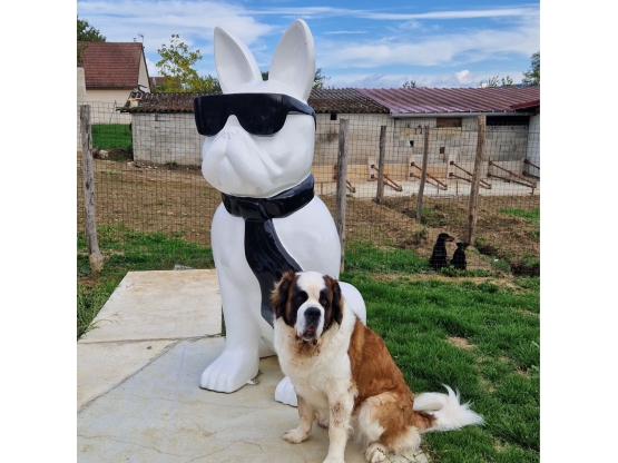 STATUA CANE BULLDOG FRANCESE IN RESINA CON CRAVATTA/OCCHIALI 190 CM