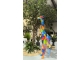STATUA GIRAFFA MULTICOLOR IN RESINA 210 CM