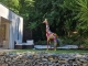 STATUA GIRAFFA MULTICOLOR IN RESINA 210 CM